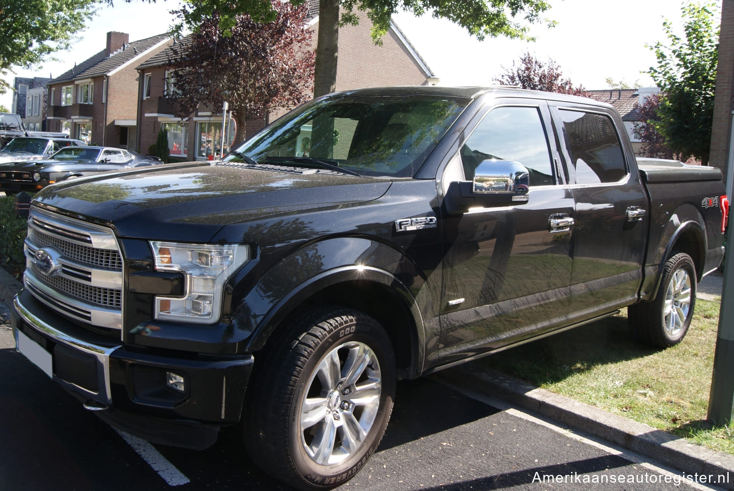 Ford F Series uit 2015